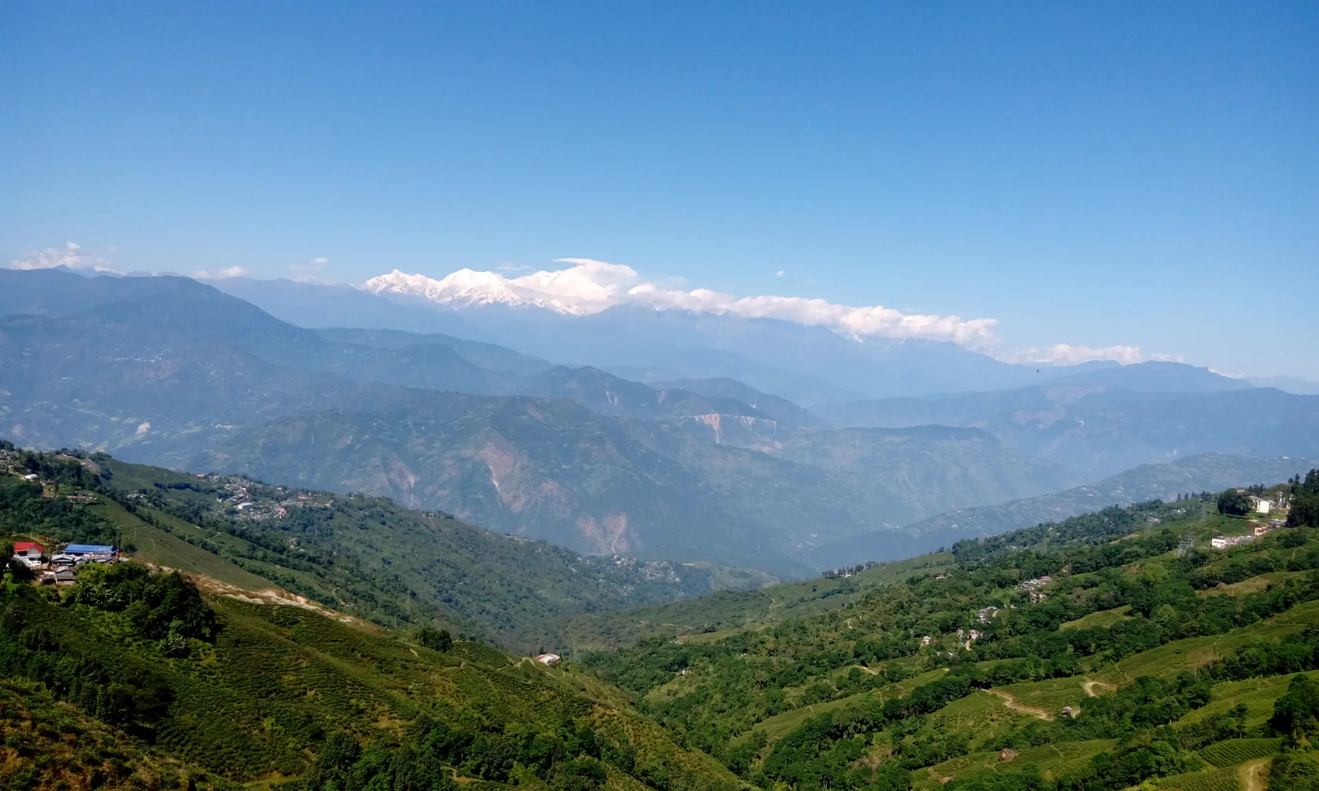Darjeeling