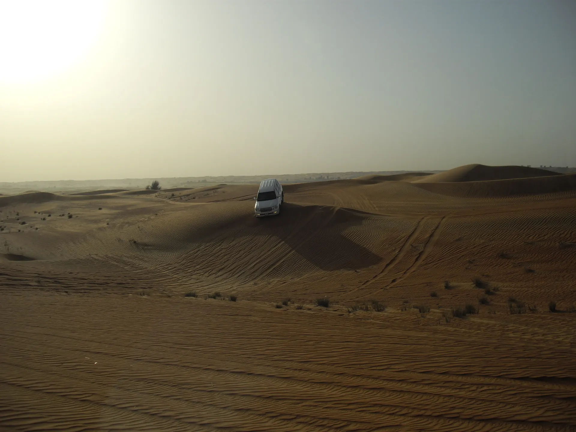 A day out on a trip